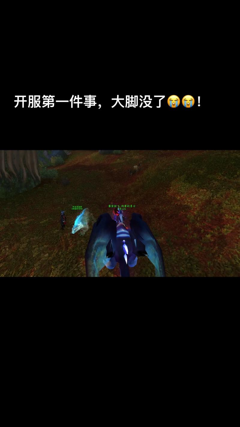 魔兽世界多玩和大脚哪个好？魔兽大脚好用吗？