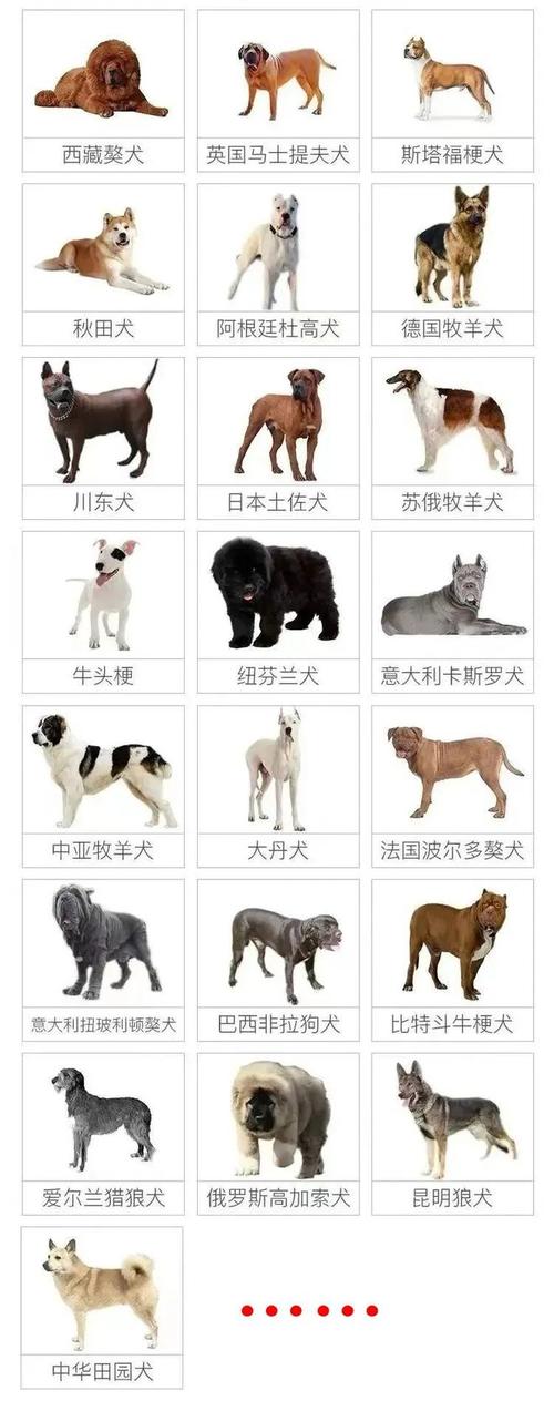 洛克王国大神犬技能？洛克王国狗？