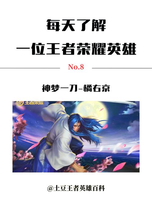 不知火舞和橘右京皮肤哪个值得入手，不知火舞和橘右京哪个简单？