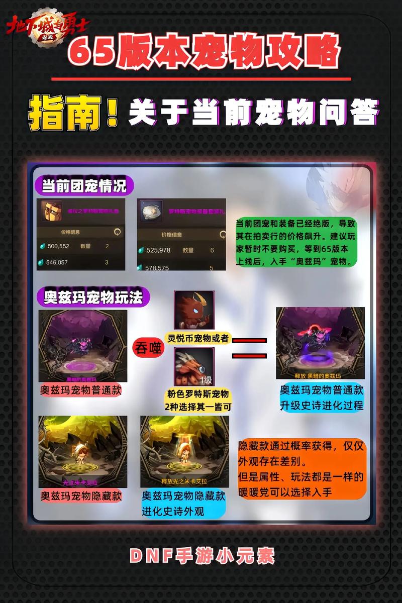 dnf宠物如何购买，dnf宠物怎样获得？